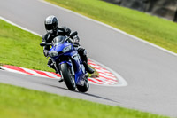 Oulton-Park-21st-March-2020;PJ-Motorsport-Photography-2020;anglesey;brands-hatch;cadwell-park;croft;donington-park;enduro-digital-images;event-digital-images;eventdigitalimages;mallory;no-limits;oulton-park;peter-wileman-photography;racing-digital-images;silverstone;snetterton;trackday-digital-images;trackday-photos;vmcc-banbury-run;welsh-2-day-enduro